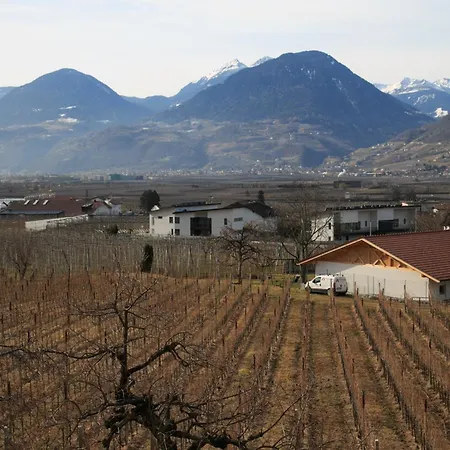 Apartment Torgglbauer 1 *