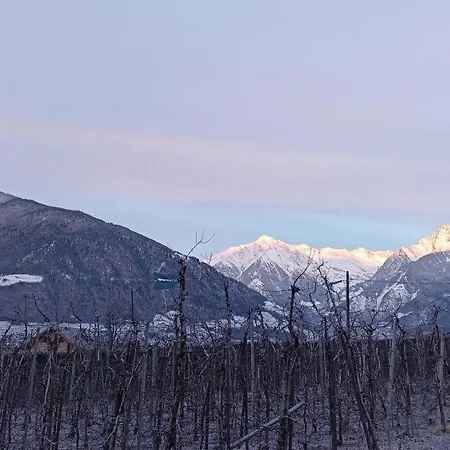 Torgglbauer 1 Мерано