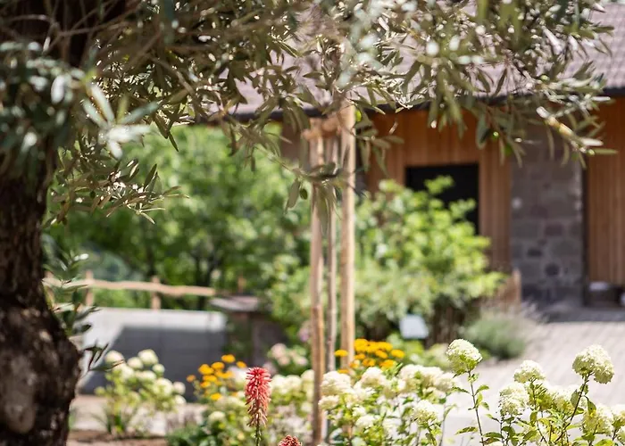 Daire Torgglbauer 1 Merano