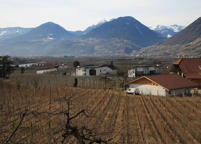 Apartment Torgglbauer 1 *