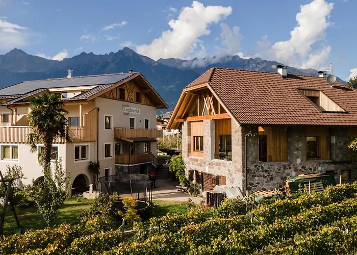 Apartment Torgglbauer 1 *