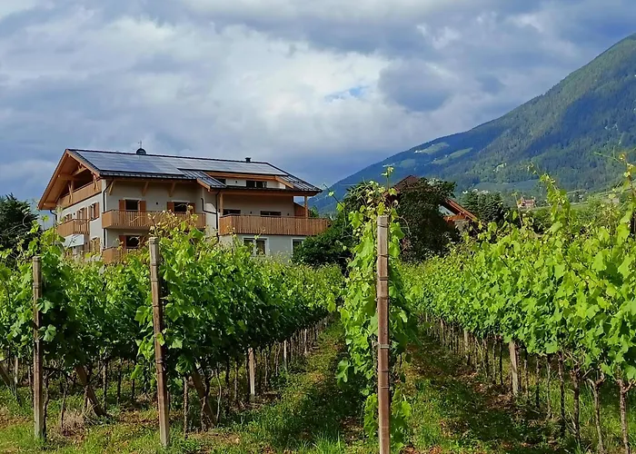 Torgglbauer 1 Apartment